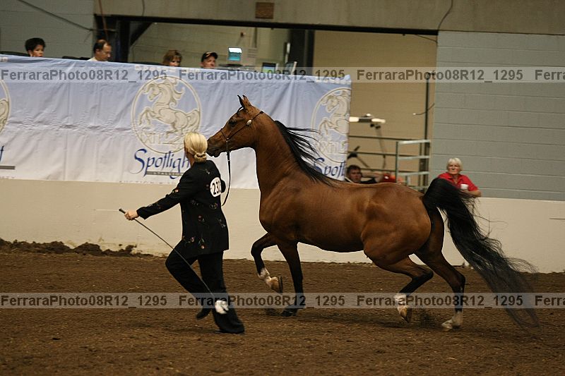 Proof 08r12_1295