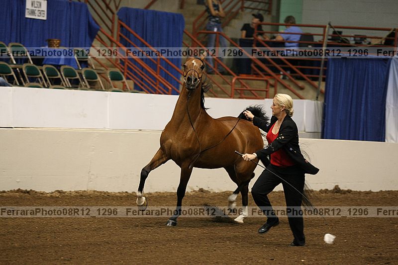 Proof 08r12_1296