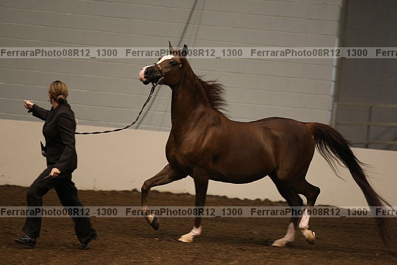 Proof 08r12_1300