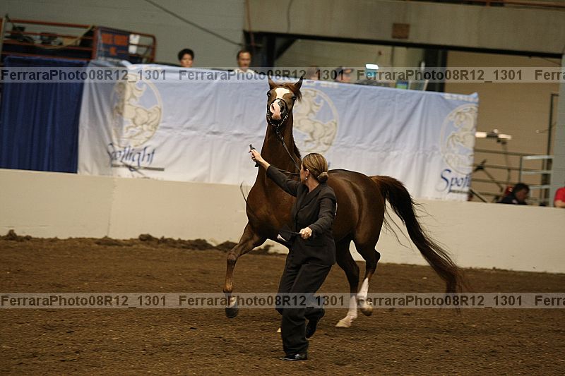 Proof 08r12_1301