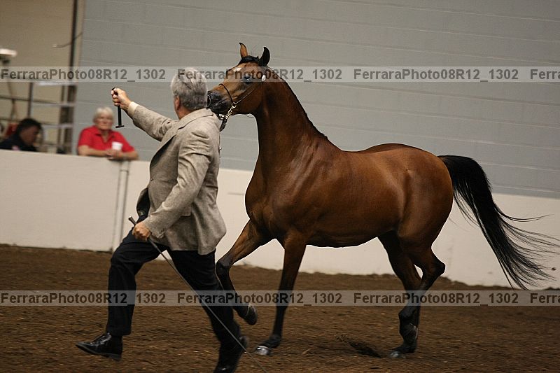 Proof 08r12_1302