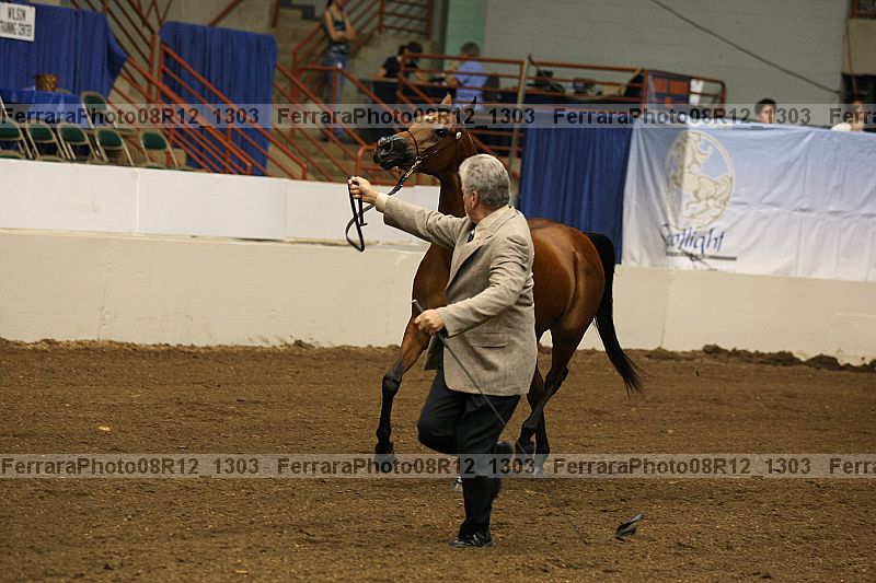 Proof 08r12_1303