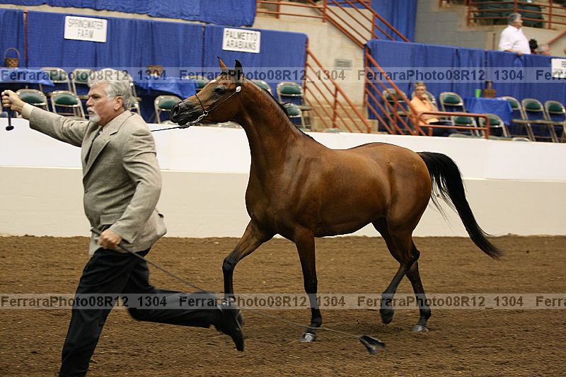 Proof 08r12_1304