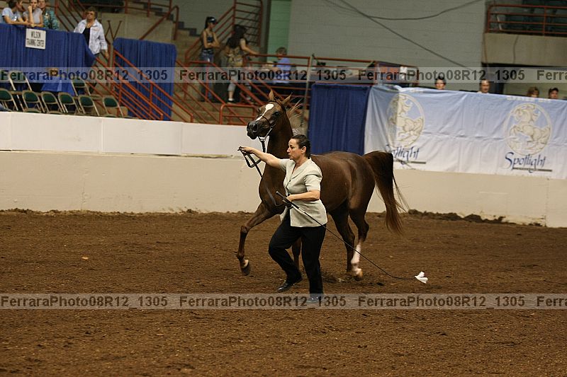 Proof 08r12_1305