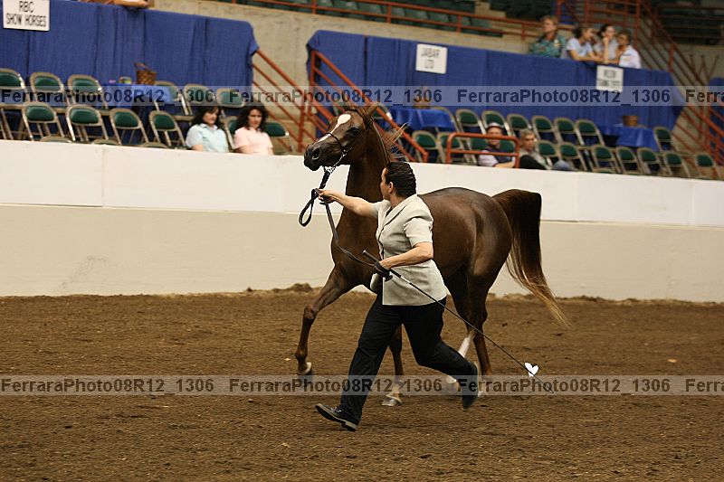 Proof 08r12_1306