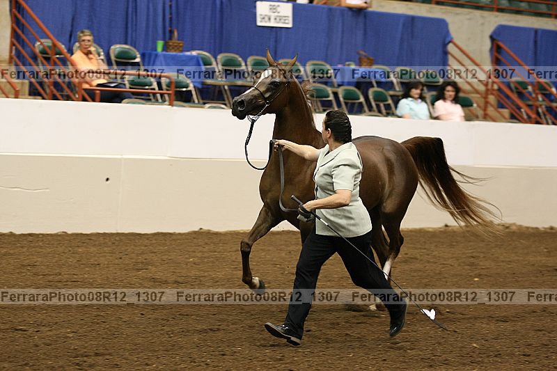 Proof 08r12_1307