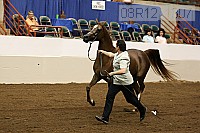 08r12_1307 proof