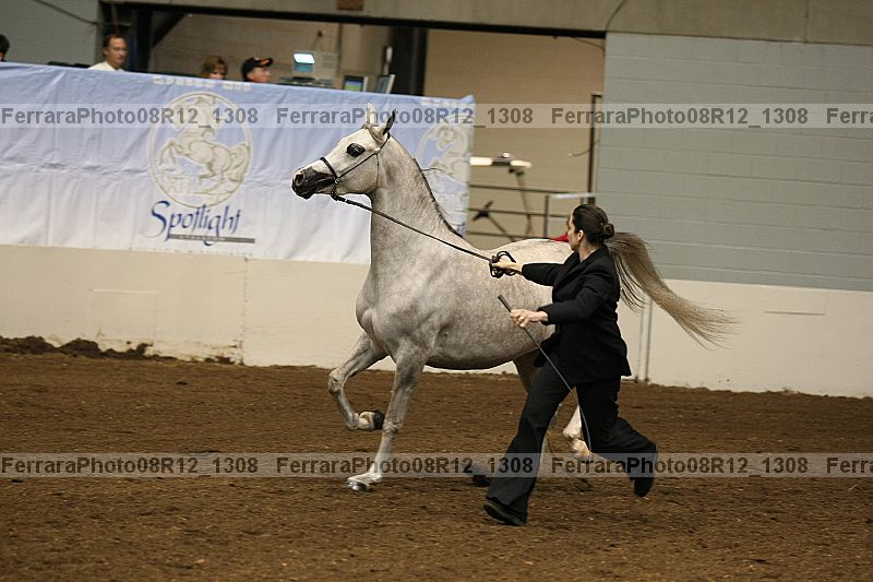 Proof 08r12_1308