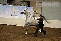 08r12_1308 proof