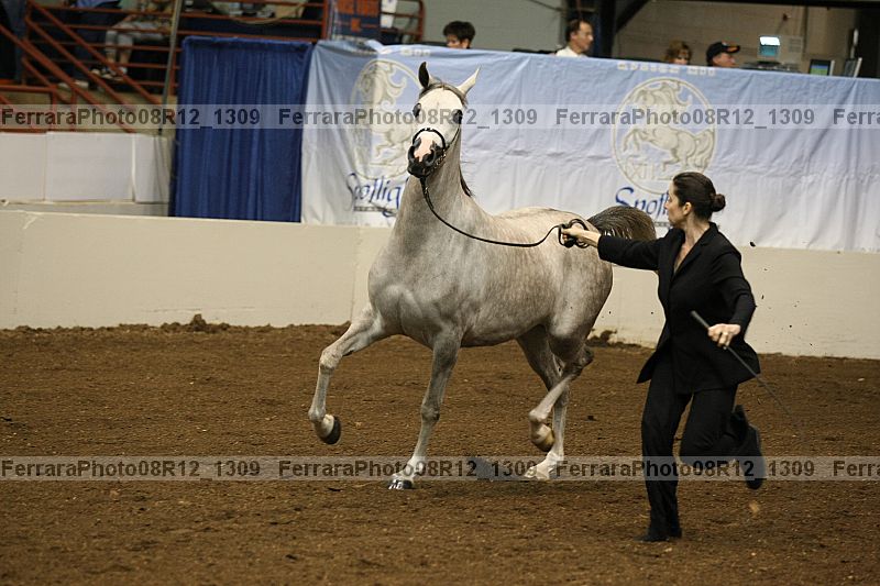 Proof 08r12_1309