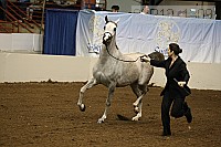 08r12_1309 proof