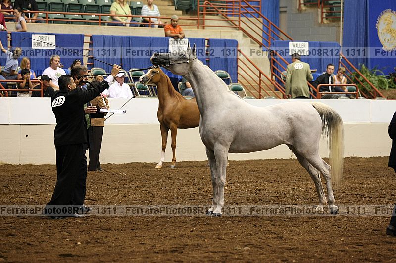 Proof 08r12_1311