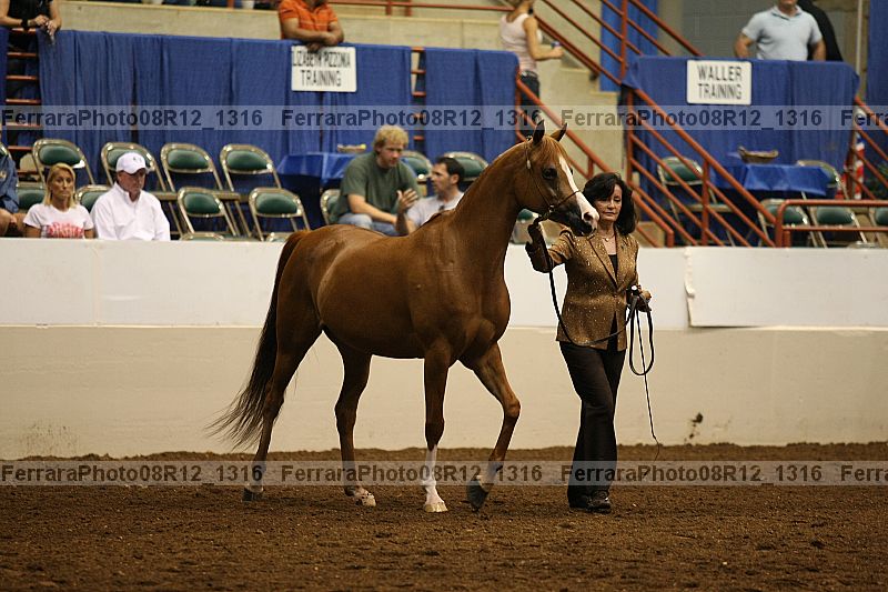 Proof 08r12_1316