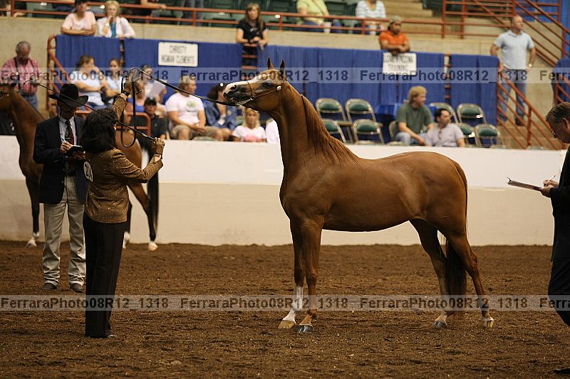 Proof 08r12_1318