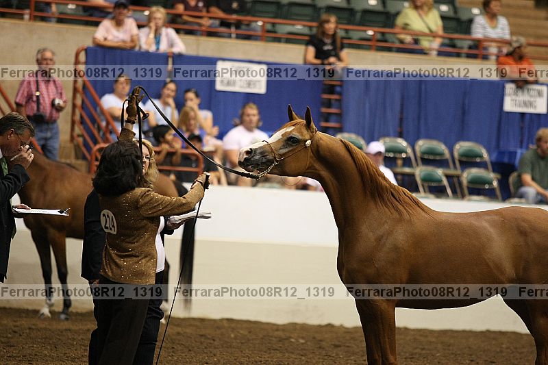 Proof 08r12_1319