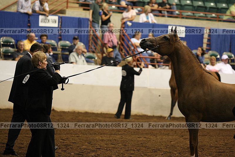 Proof 08r12_1324