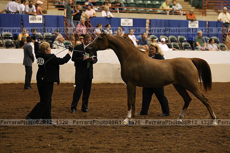 Proof 08r12_1328
