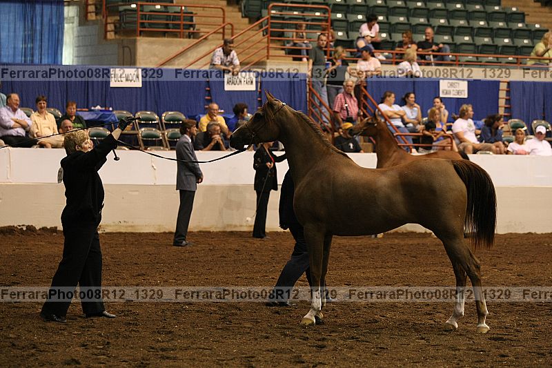 Proof 08r12_1329