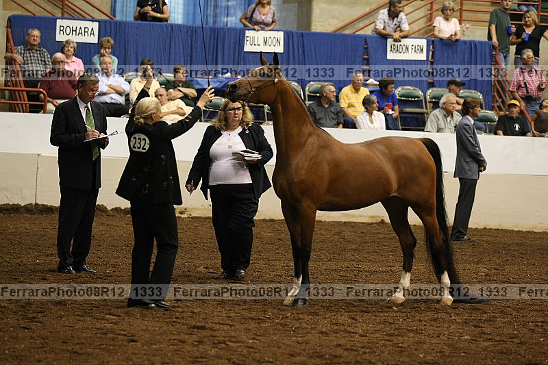Proof 08r12_1333