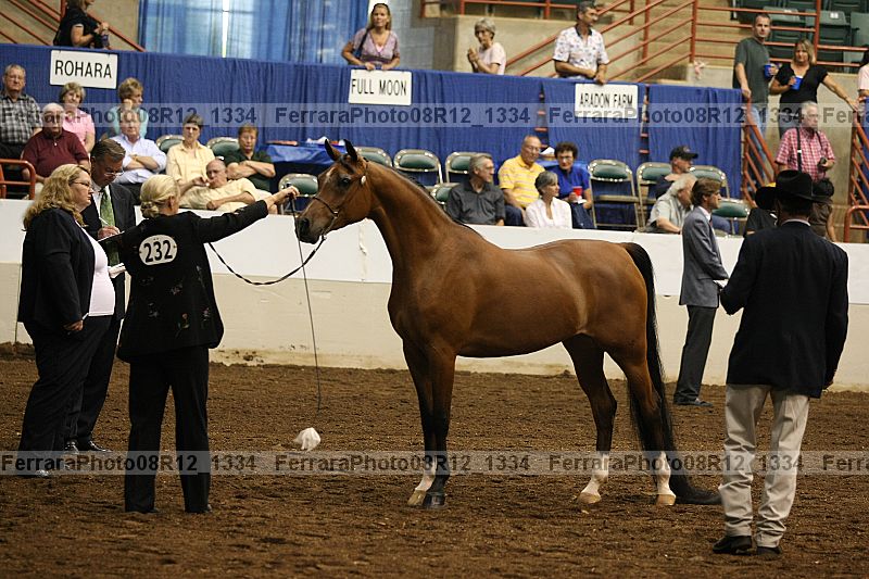 Proof 08r12_1334