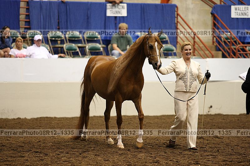 Proof 08r12_1335