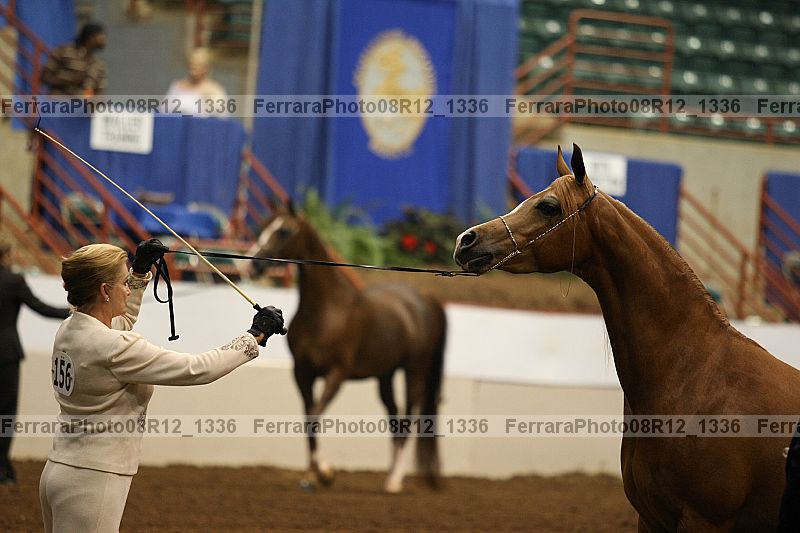 Proof 08r12_1336