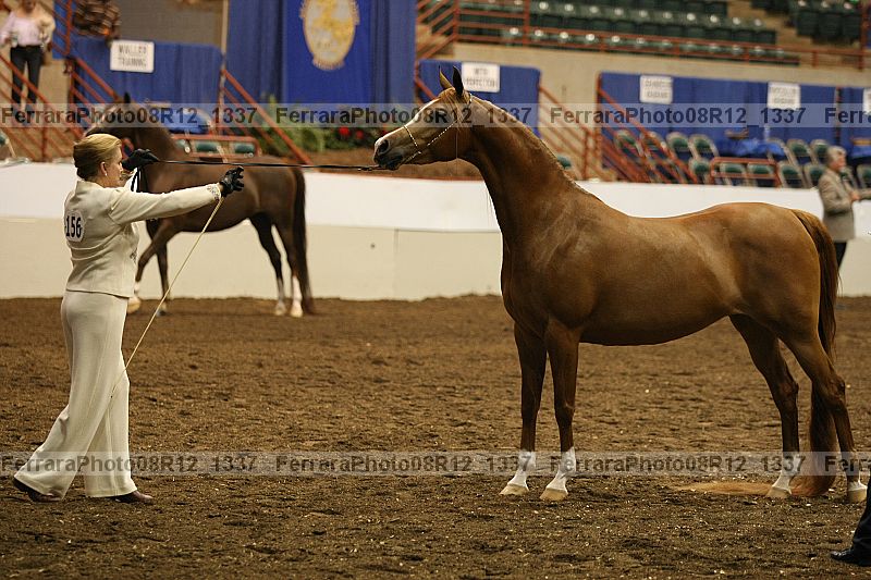 Proof 08r12_1337