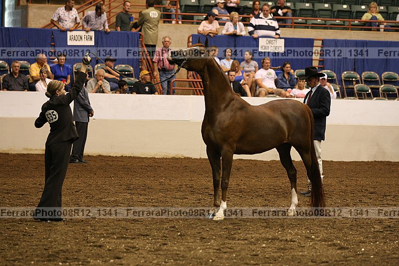 Proof 08r12_1341