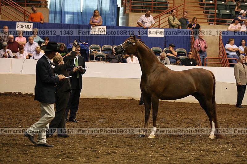Proof 08r12_1343