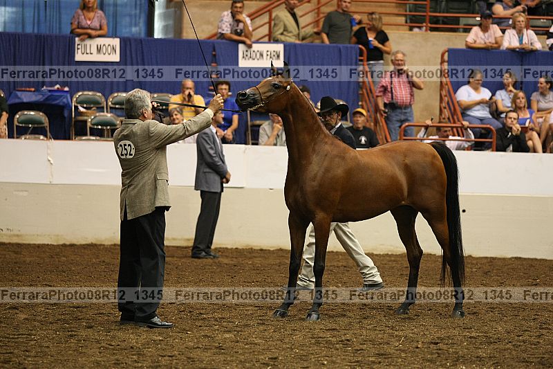 Proof 08r12_1345