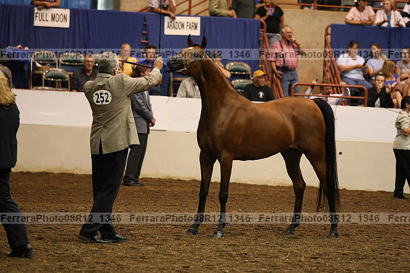 Proof 08r12_1346