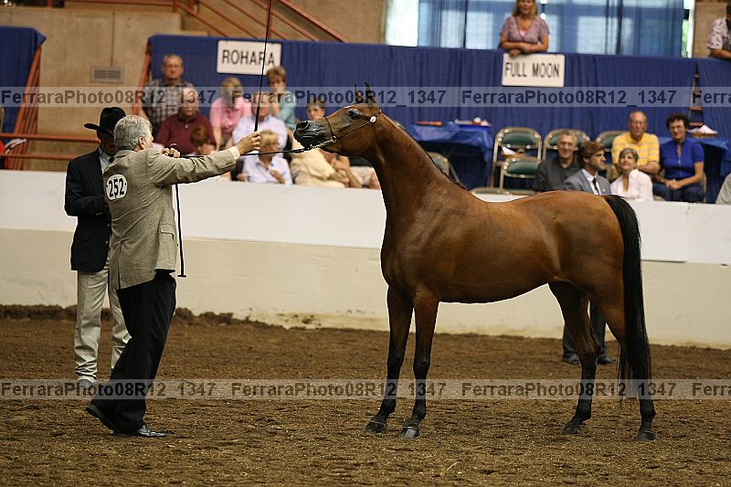 Proof 08r12_1347