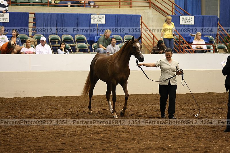 Proof 08r12_1354