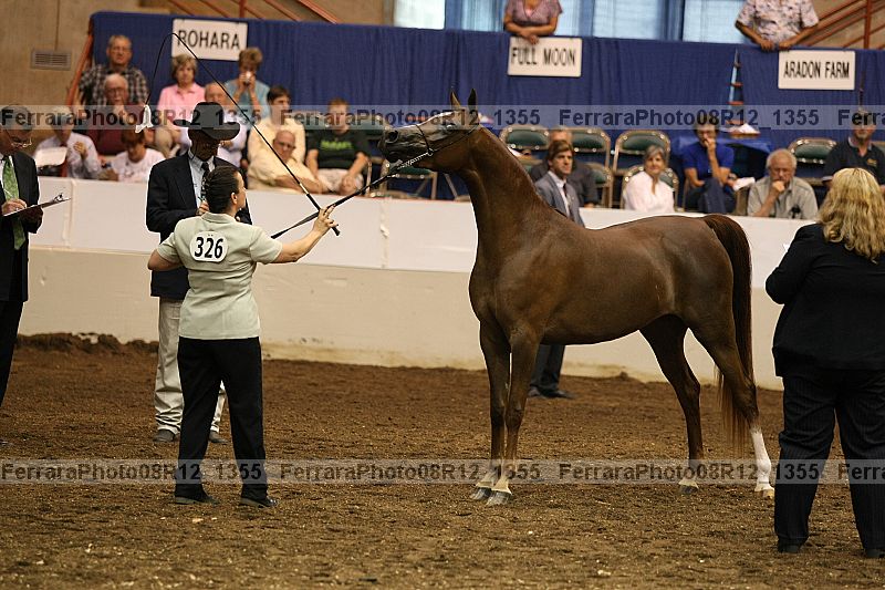 Proof 08r12_1355