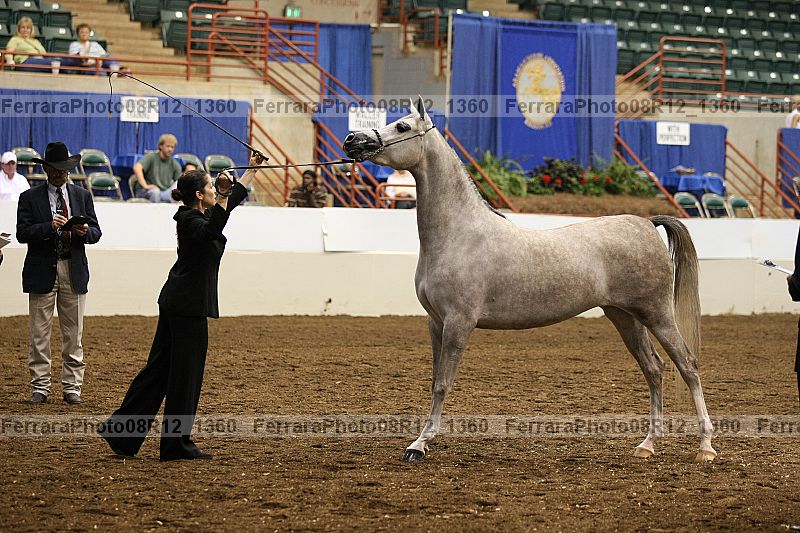 Proof 08r12_1360