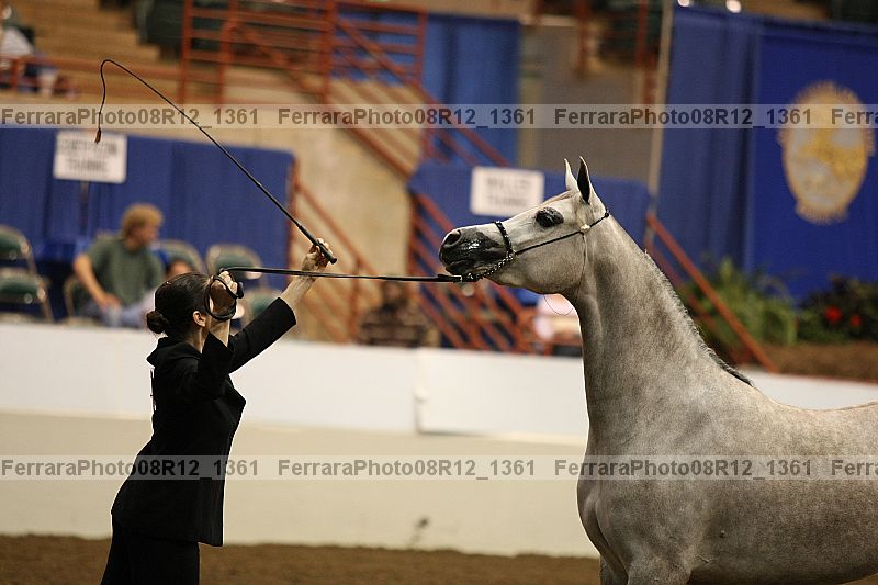 Proof 08r12_1361