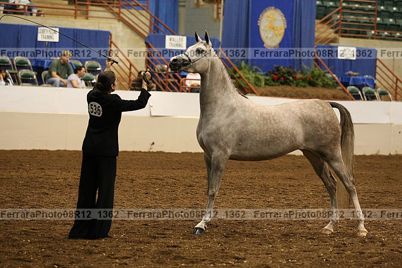 Proof 08r12_1362