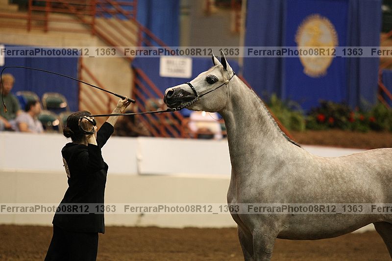 Proof 08r12_1363
