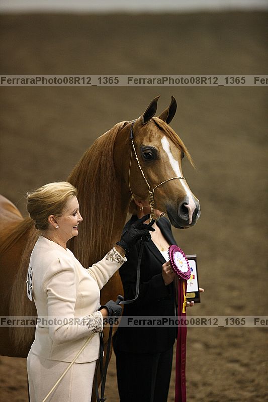 Proof 08r12_1365