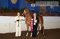 08r12_1367 proof