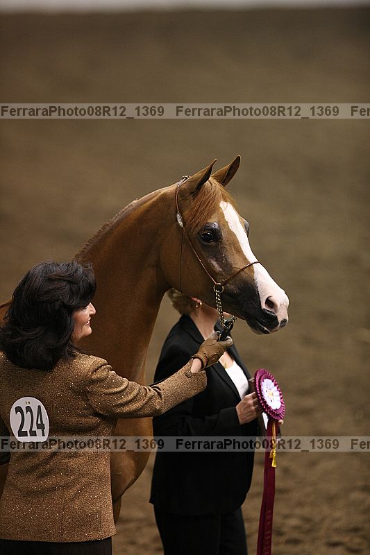 Proof 08r12_1369