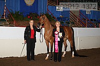 08r12_1372 proof