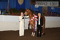 08r12_1381 proof
