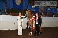 08r12_1382 proof