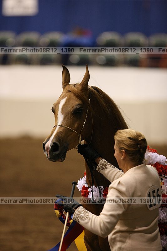Proof 08r12_1390