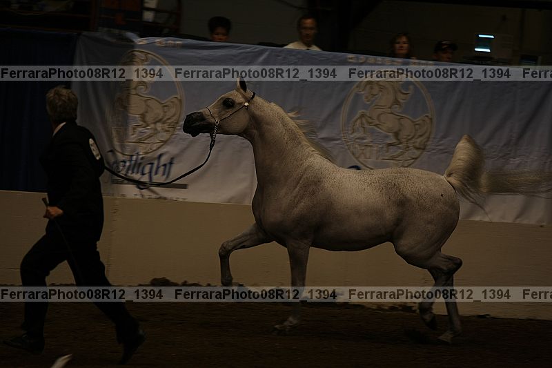 Proof 08r12_1394