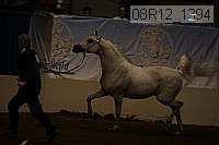 08r12_1394 proof