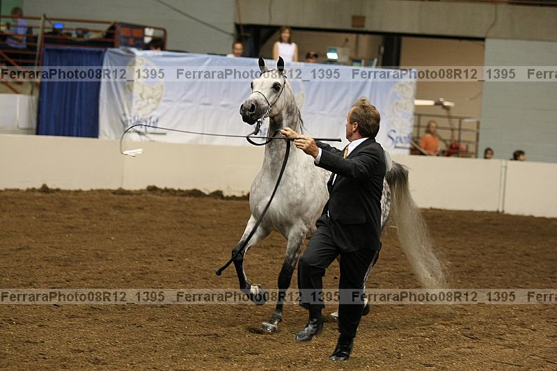 Proof 08r12_1395