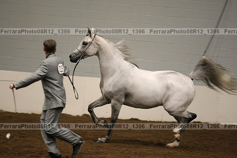 Proof 08r12_1396