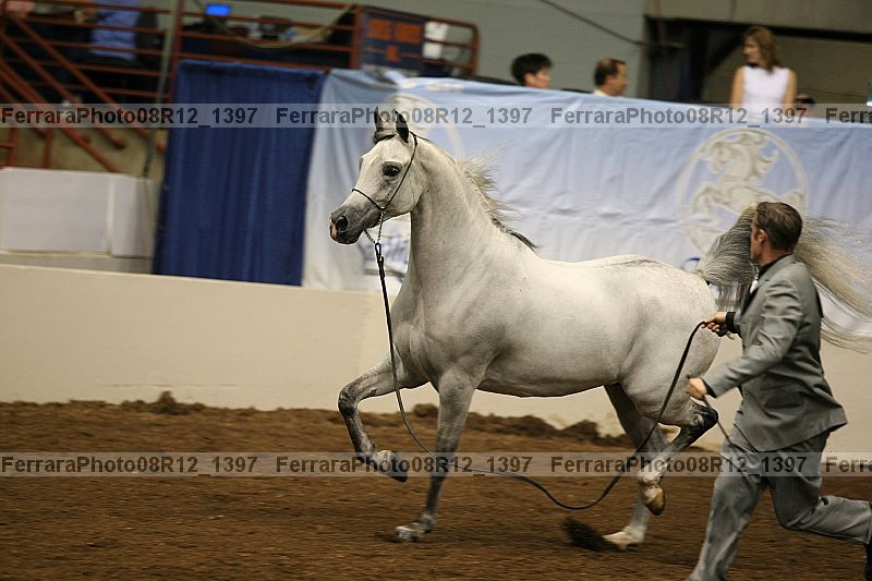 Proof 08r12_1397